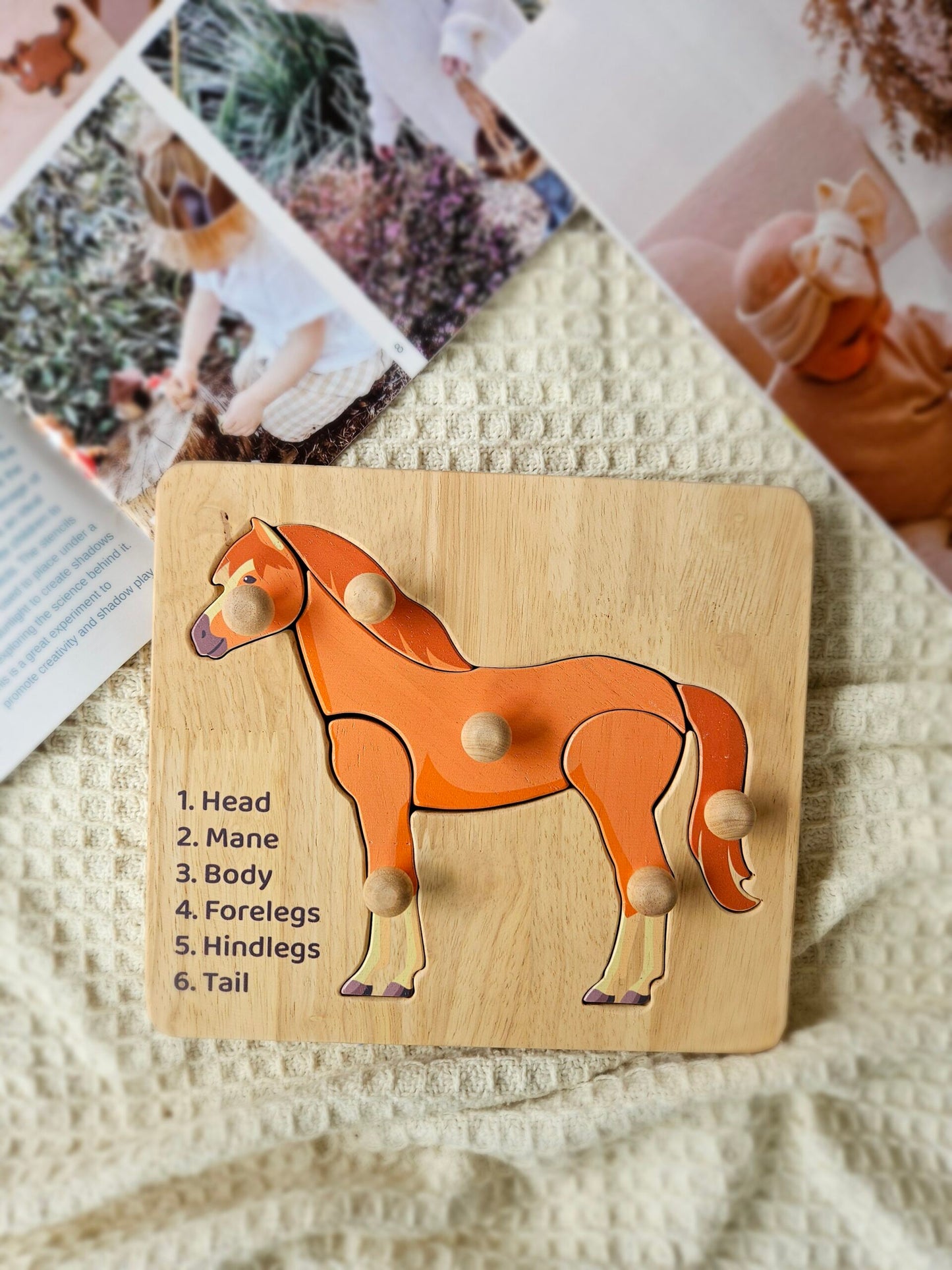 Horse Knob Puzzle