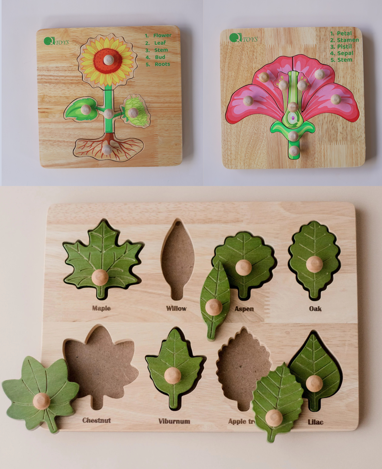 Montessori Plants Bundle