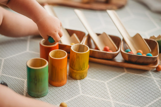 Montessori Bamboo Scoop  Sort Kit