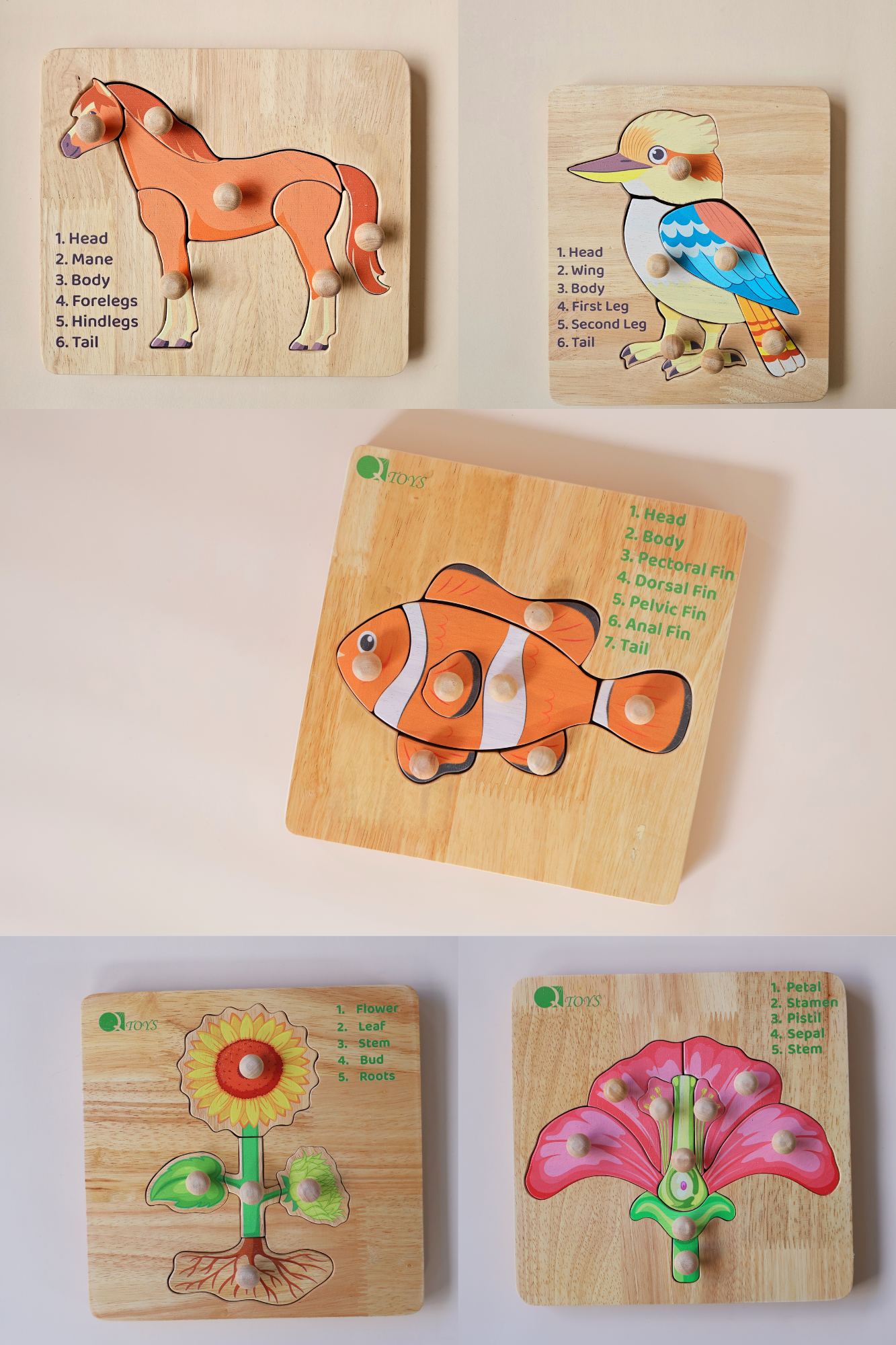 Montessori Plants  Animals Bundle
