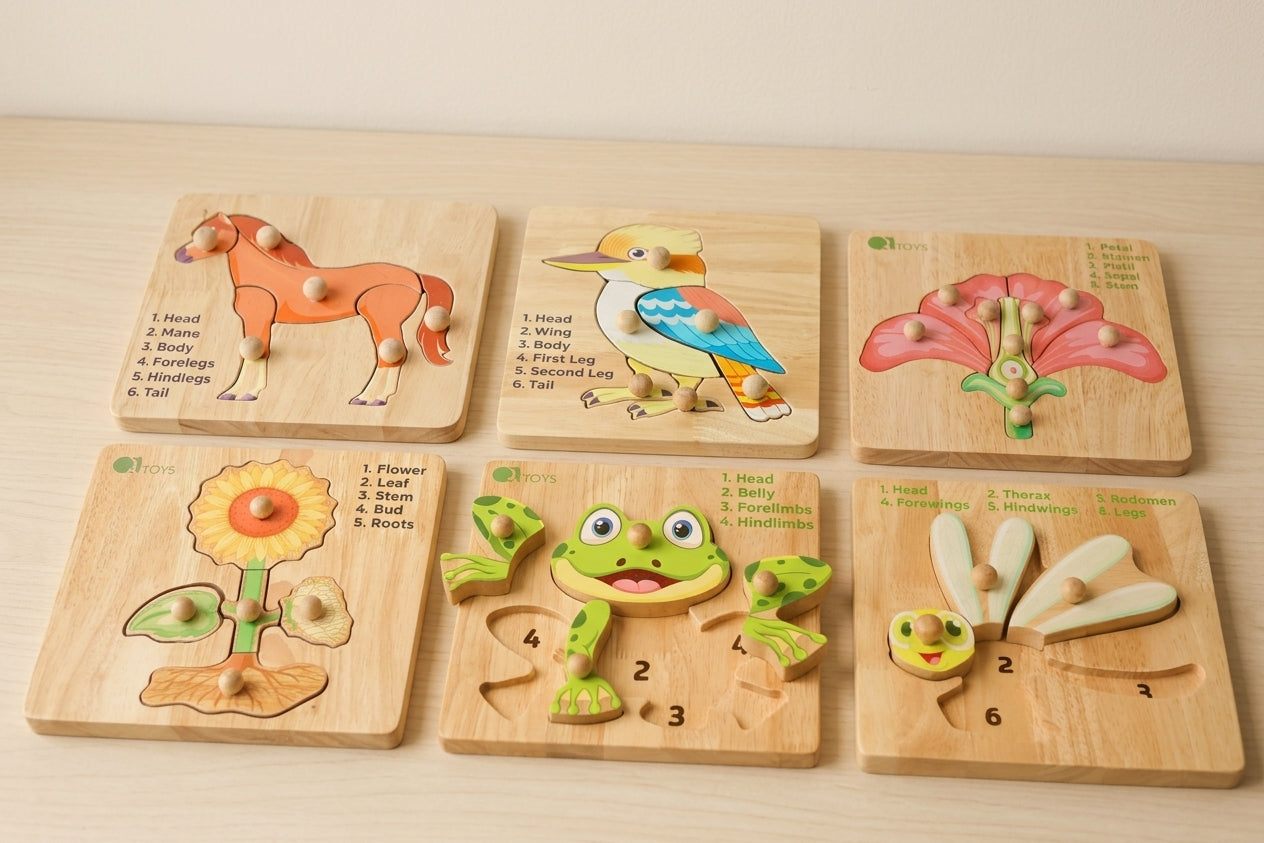 Montessori Biology learning package