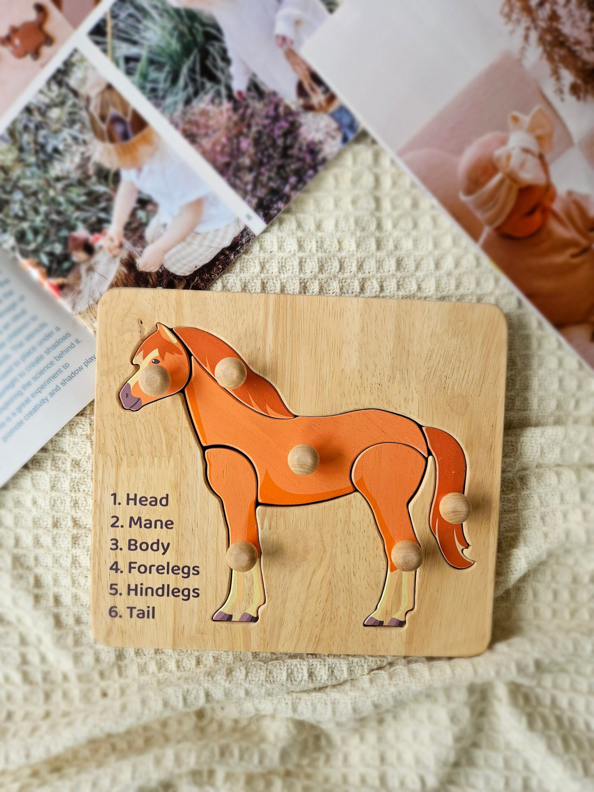 Horse Knob Puzzle