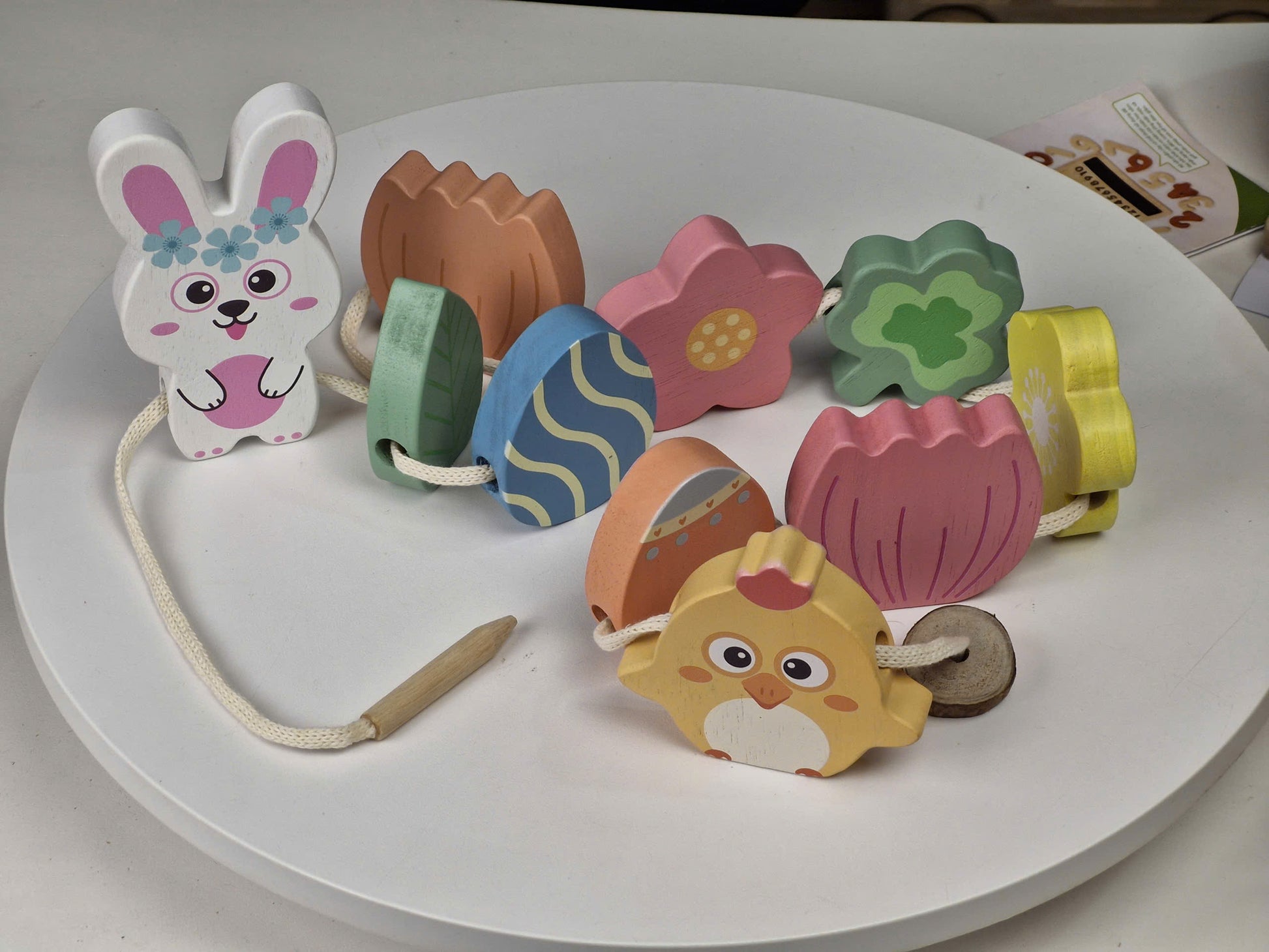 Spring Life Cycle Lacing Set