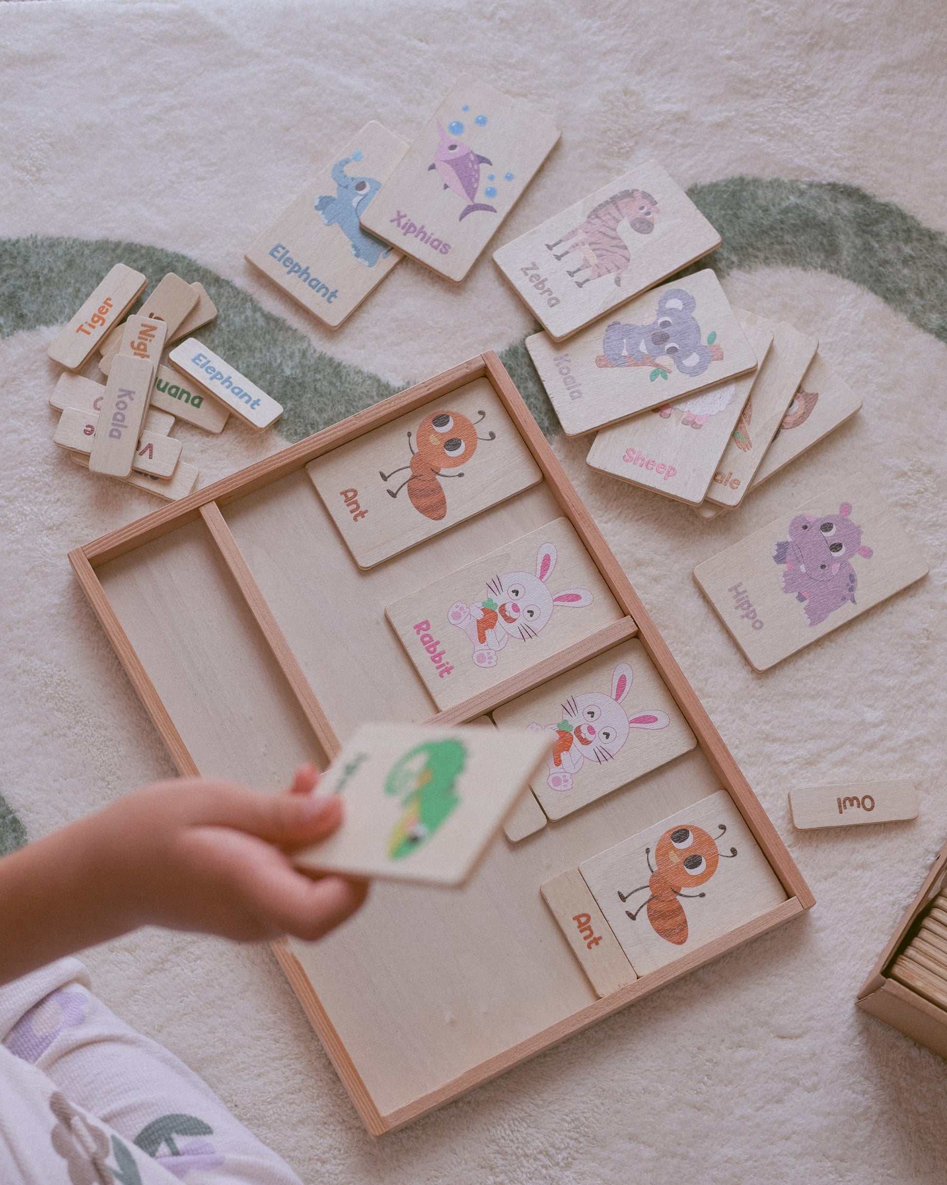 Montessori Tray  Animal Learning Set