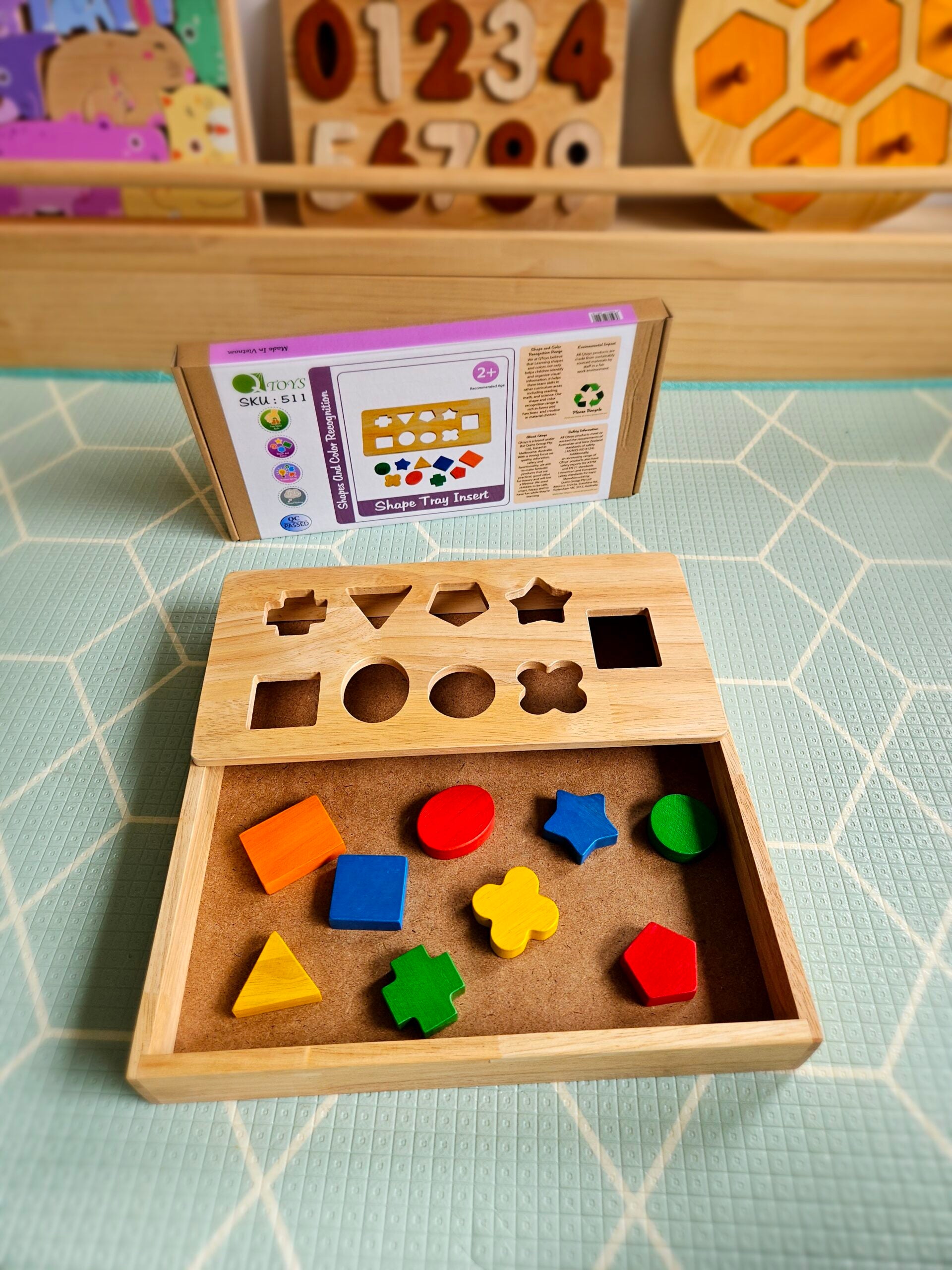Montessori Sand Tray + Shape Tray Insert