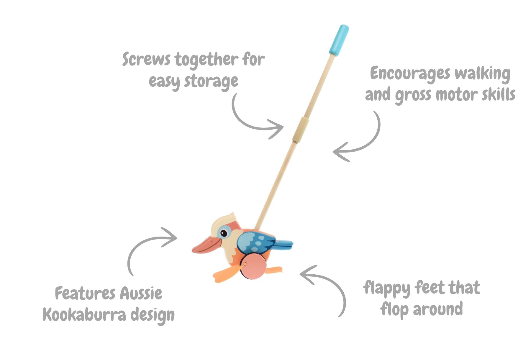 PUSH ALONG KOOKABURRA